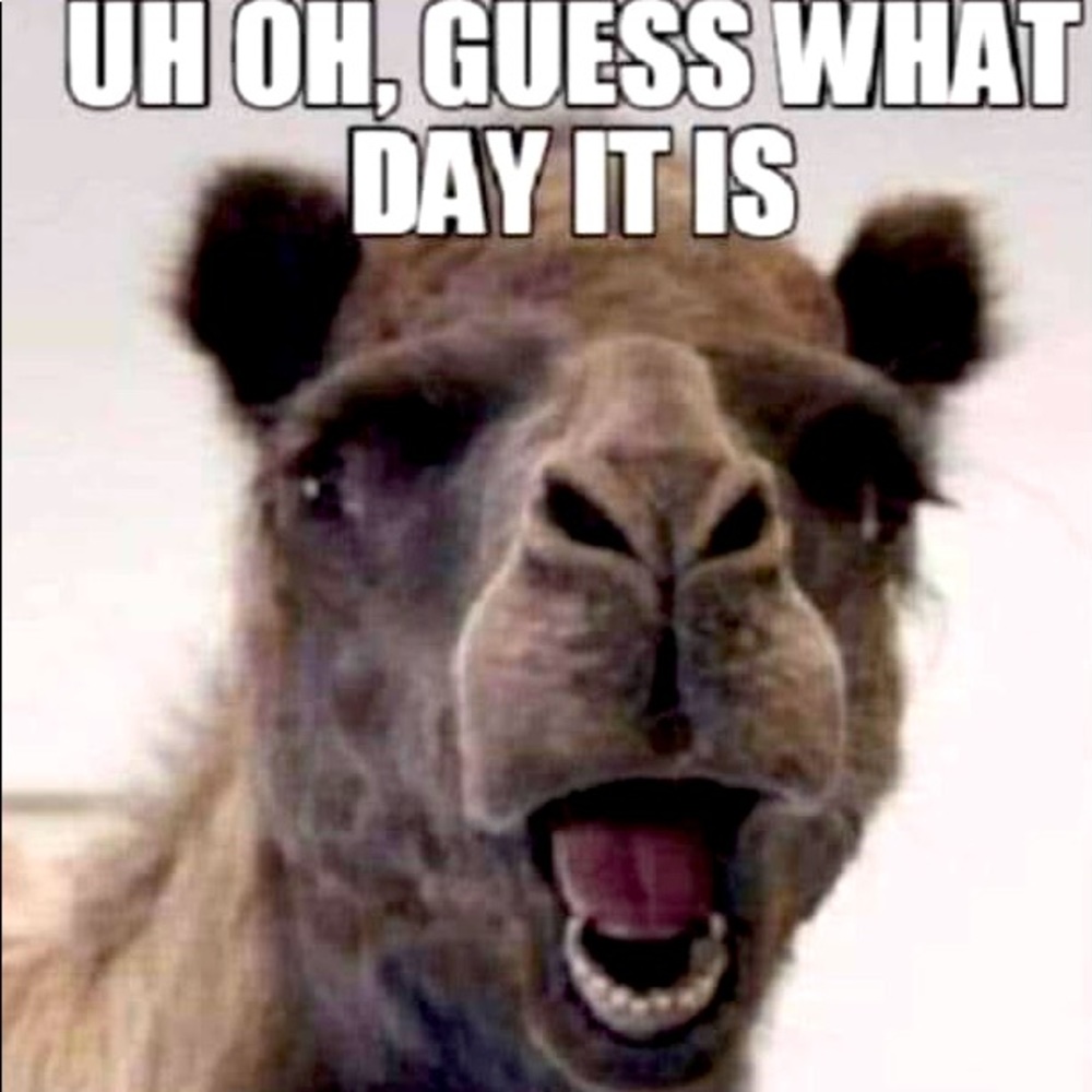 Guess what day it is?